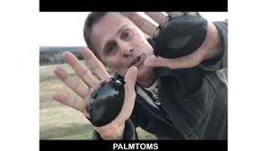 Palmtoms