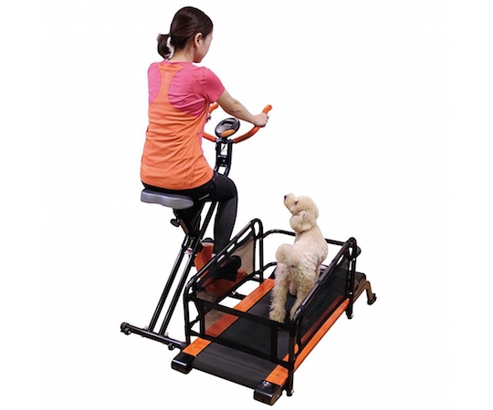 doggy health run pet owner exercise treadmill machine