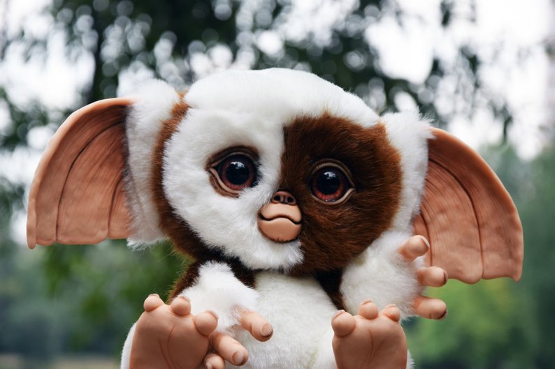 Baby Mogwai