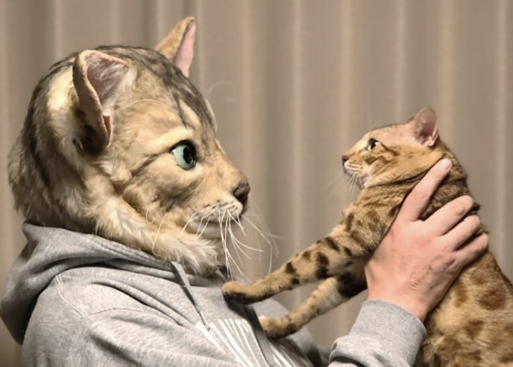 Cat mask