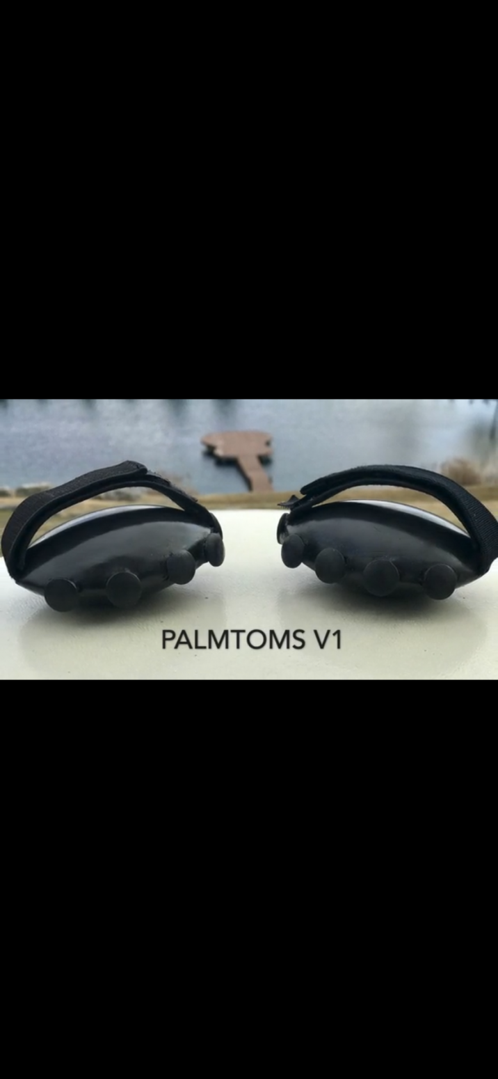 Palmtoms