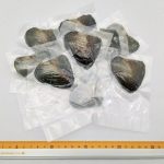 Vacuum sealed oysters