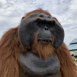Orangutan Costume