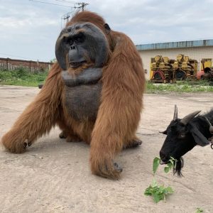 Orangutang costume sitting down
