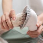 Clean pet dirt away with the Professional Pet Grooming Vacuum Kit